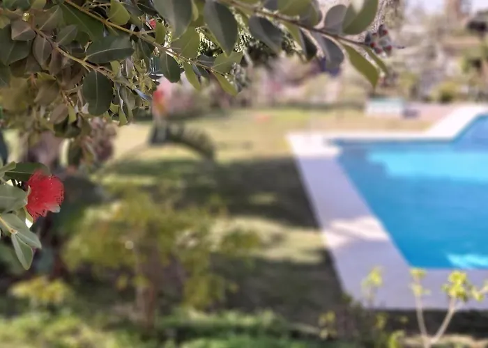 Interpares Swimmingpool By Del Parque Flats مالقة